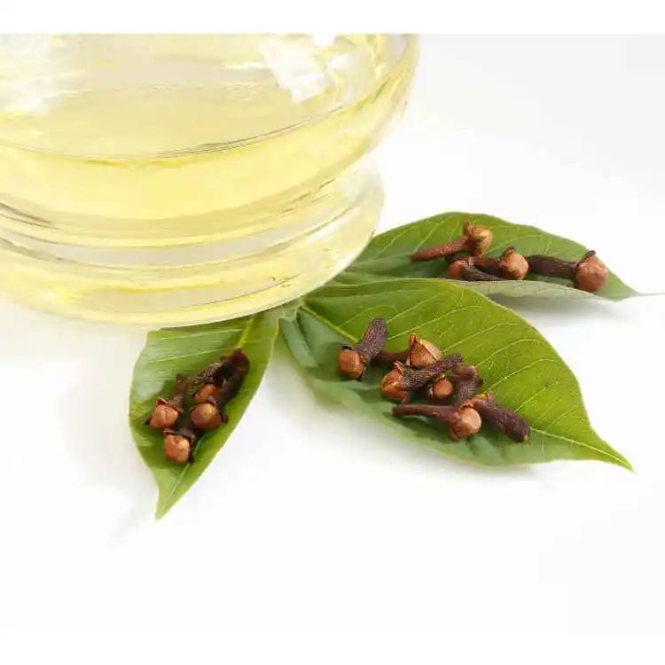 Buy Clove Leaf Oil