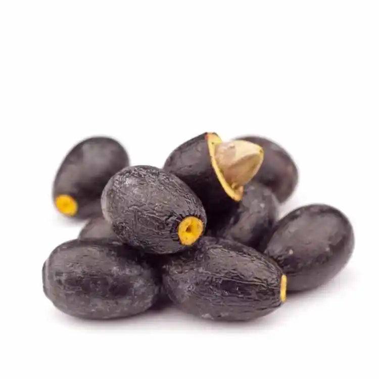 Buy Elemi Essential Oil