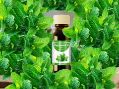 Peppermint Oil