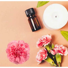 Buy carnation absolute in india