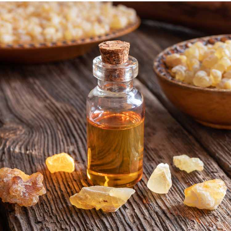 Buy frankincense oil std