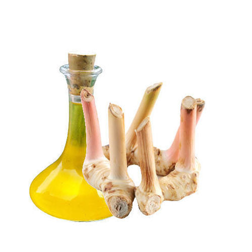 buy best glangal oil