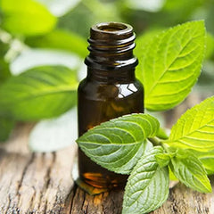 Peppermint Flavour Oil