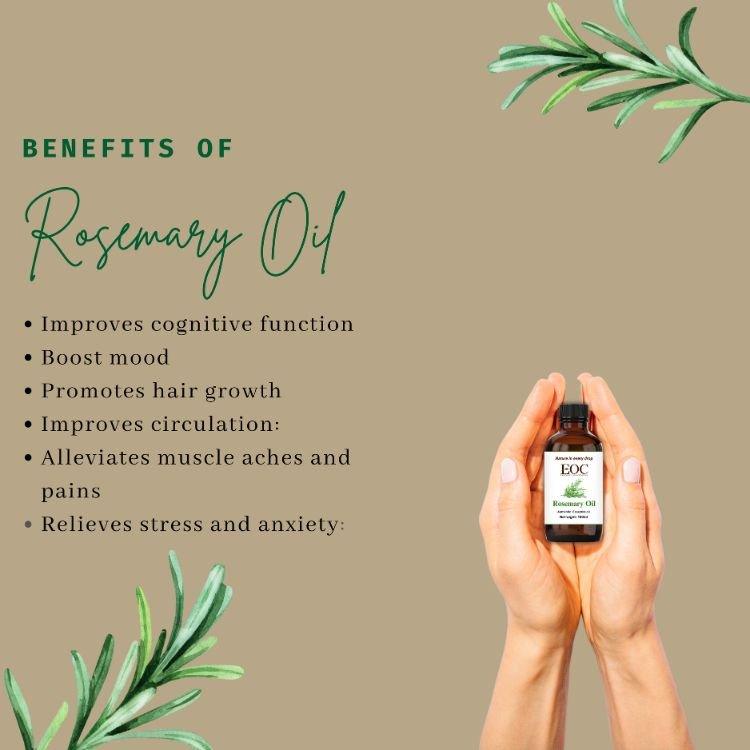 Rosemary Essential Oil - R K Essential Oil