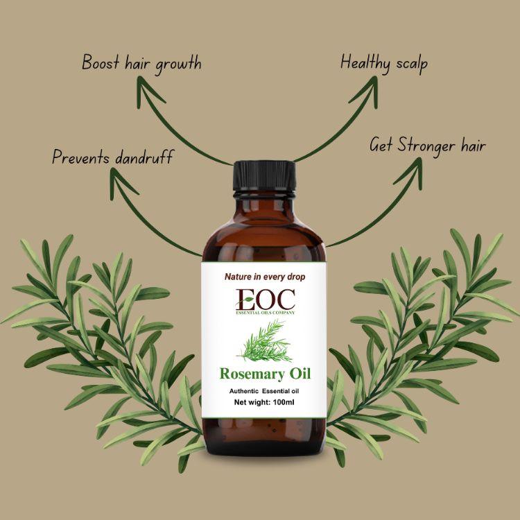 Rosemary Essential Oil - R K Essential Oil
